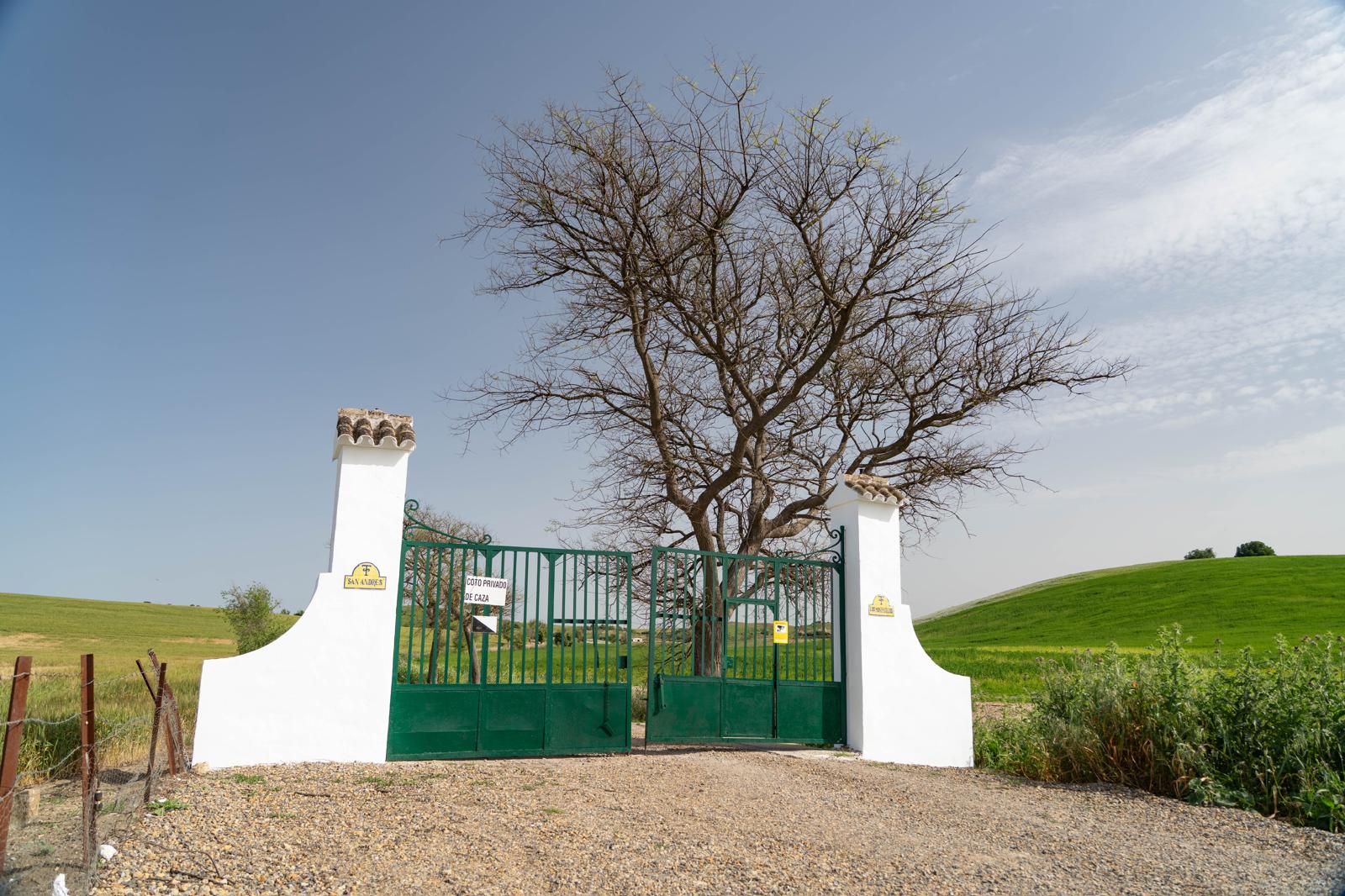 Finca Los Montecillos