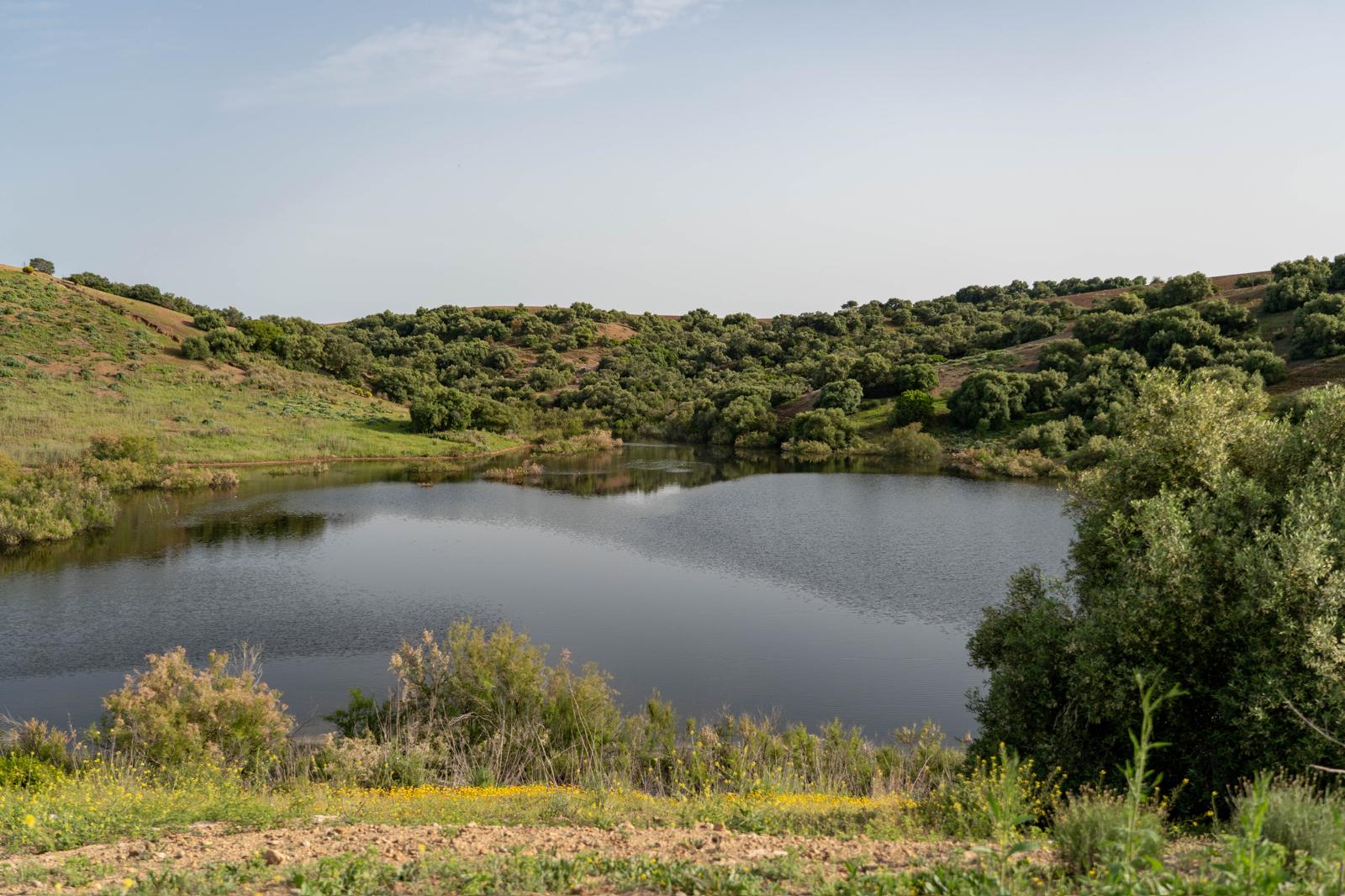 Finca Los Montecillos