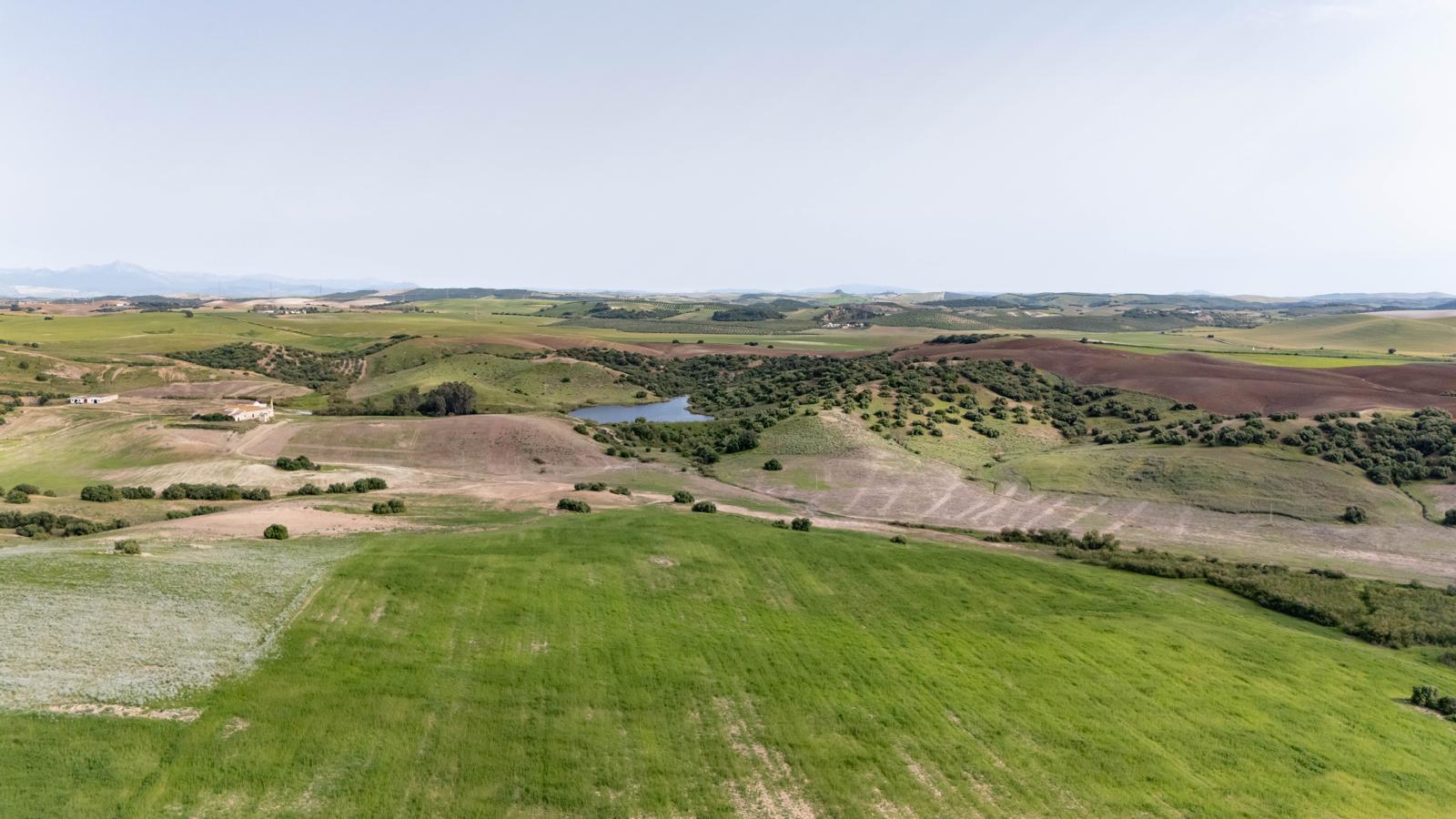 Finca Los Montecillos