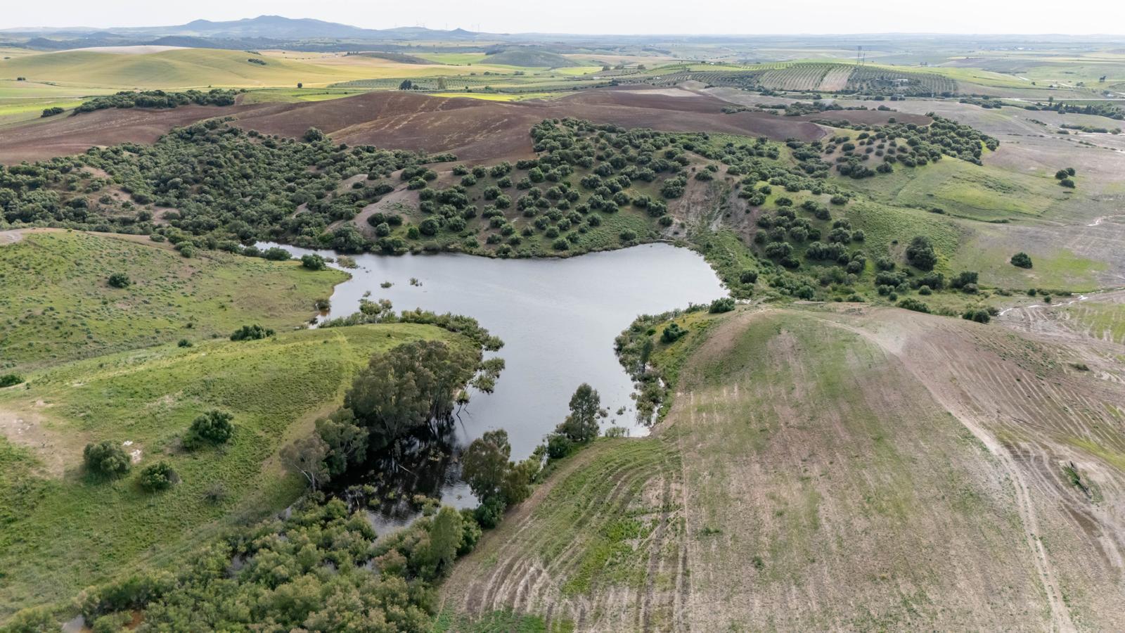 Finca Los Montecillos