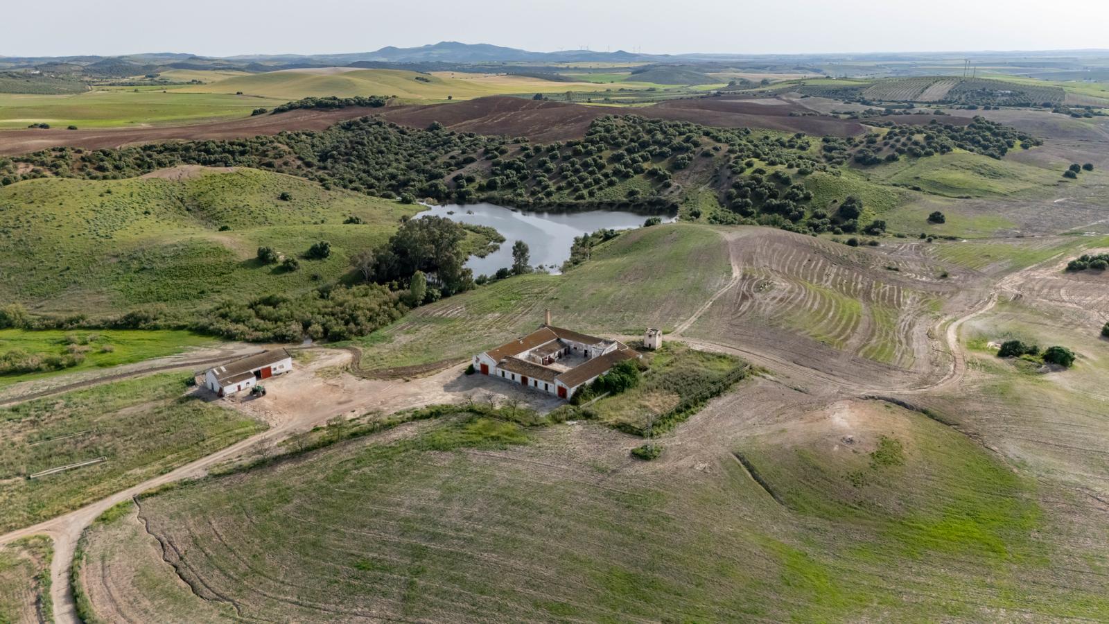 Finca Los Montecillos
