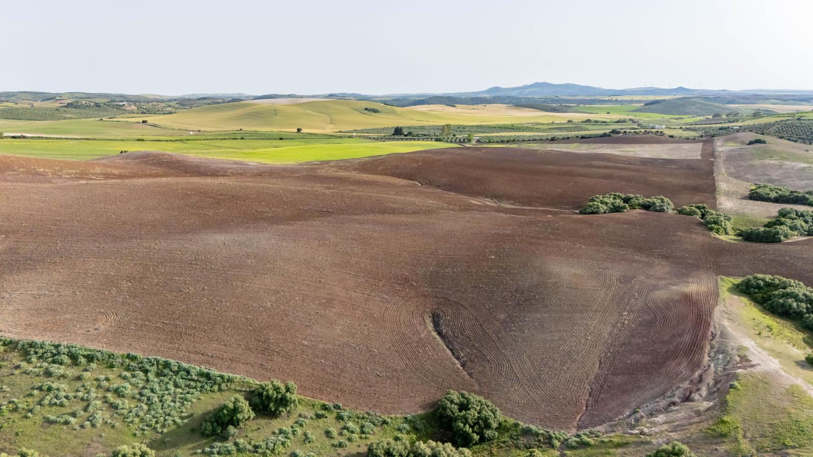 Tierras de labor